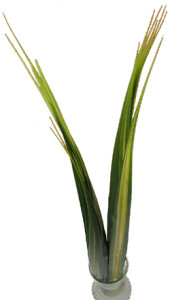 FlaxLeaves
