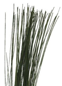 Flexie_Grass
