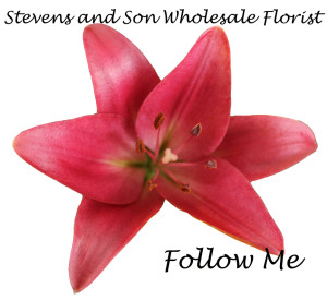 Follow Me copy