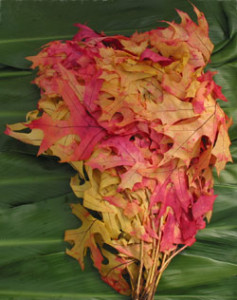 Transparent_Oak_Leaves