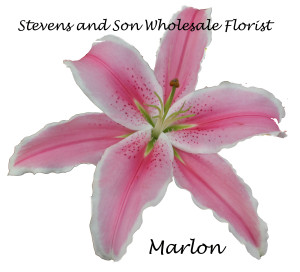 Marlon