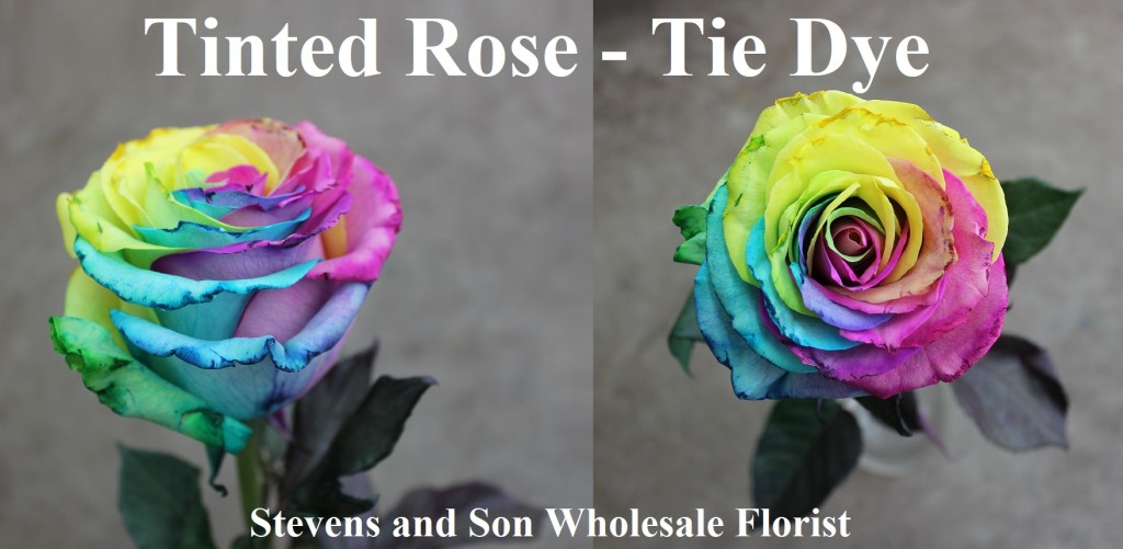 Tinted Rose - Tie Dye, Photo Credit Allison Linder
