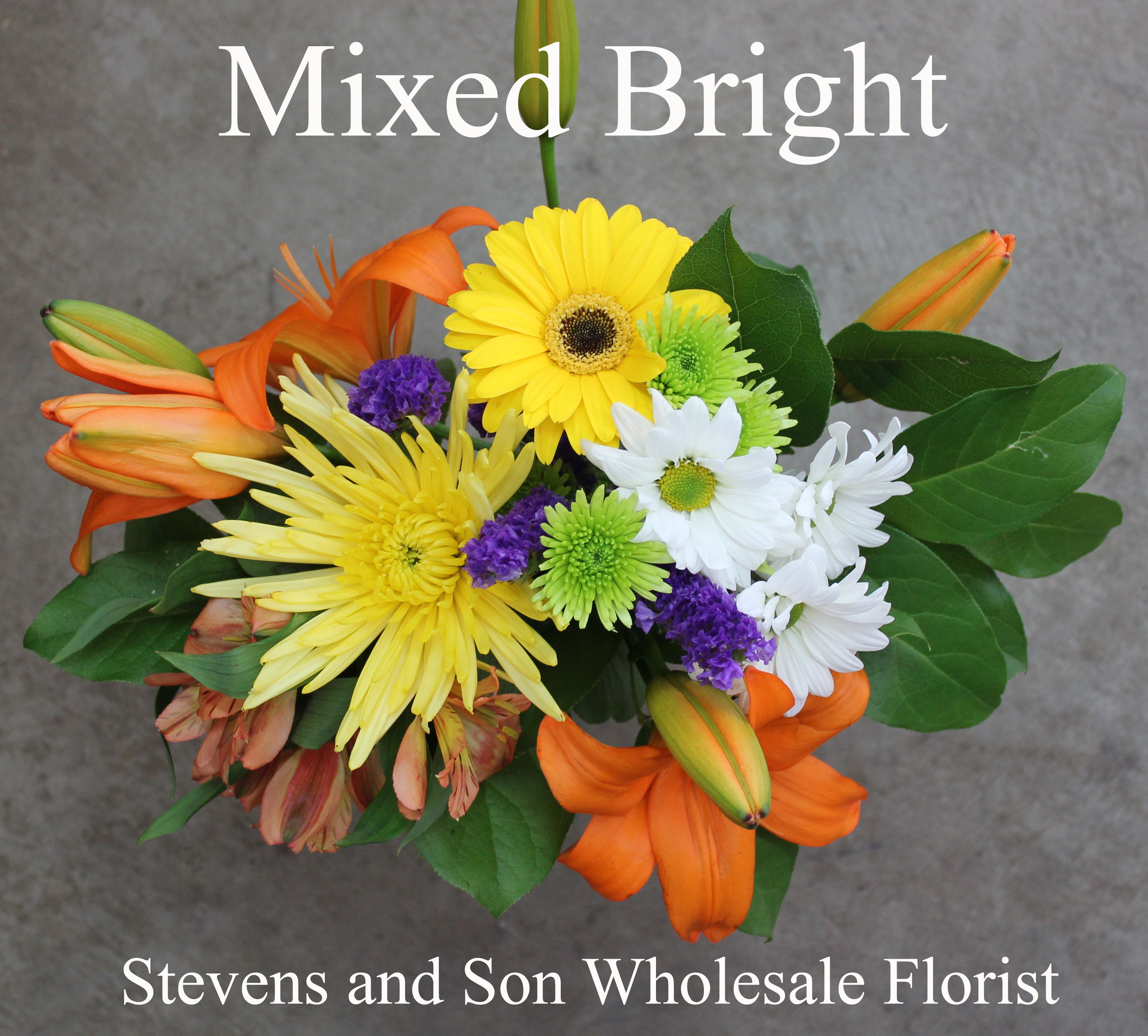 Valentine Bouquets Stevens and Son Wholesale Florist