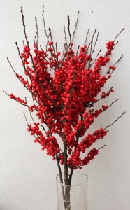 Winterberry Bunch