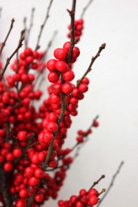 Winterberry Detail 5