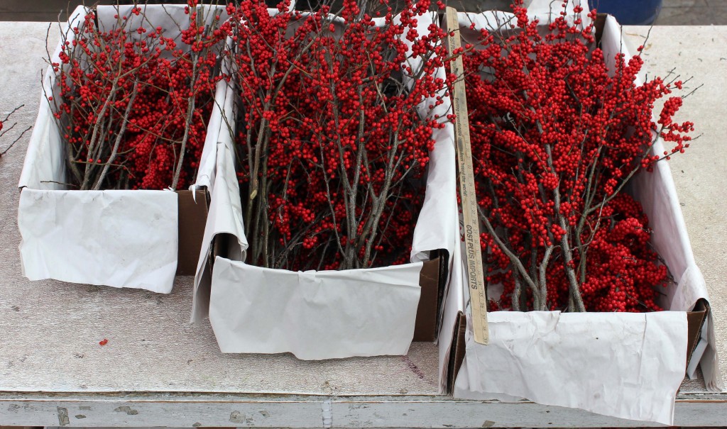 Winterberry Group