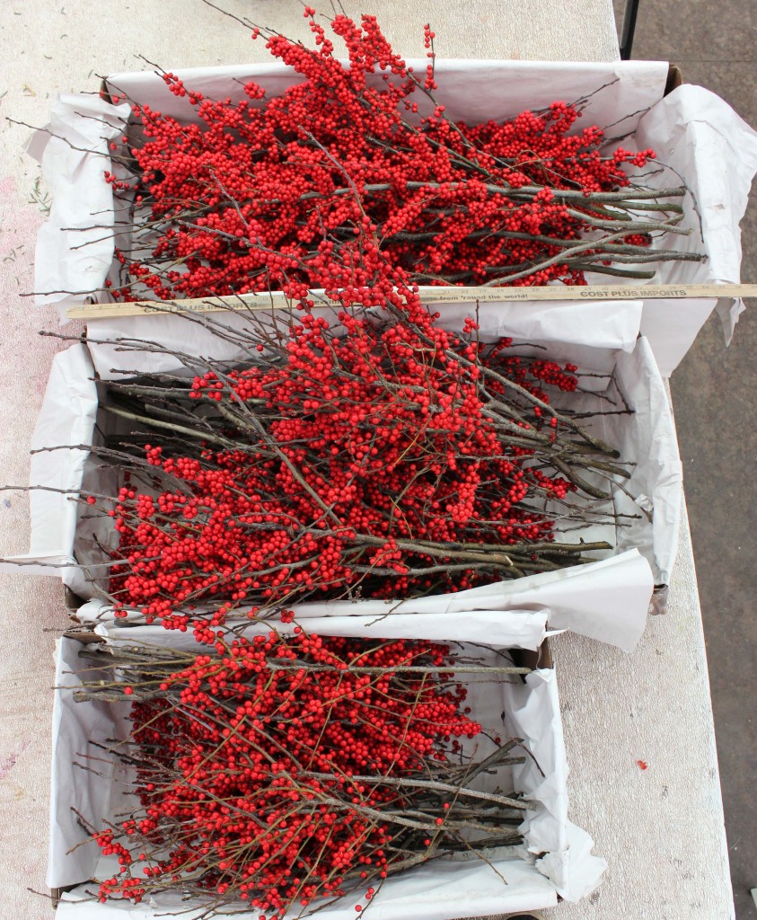 Winterberry Group 2