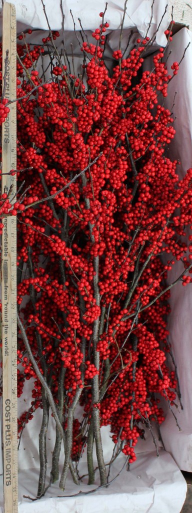 Winterberry Large