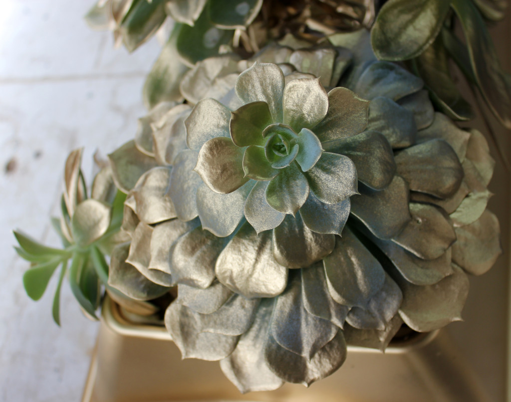 detail-2-teresas-festive-centerpiece-succulents-photography-by-allison-linder