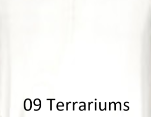 09 Terrariums