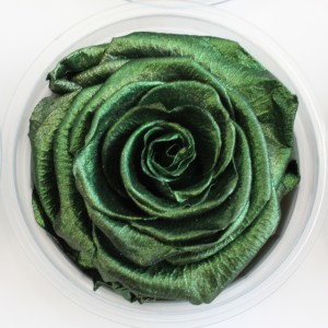 Preserved Rose - Metallic Green