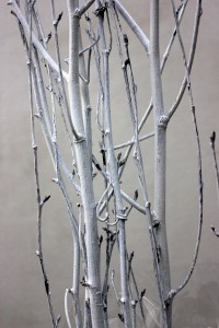 Birch Branch - White
