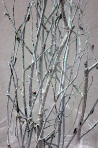 Birch Branch - White Opal
