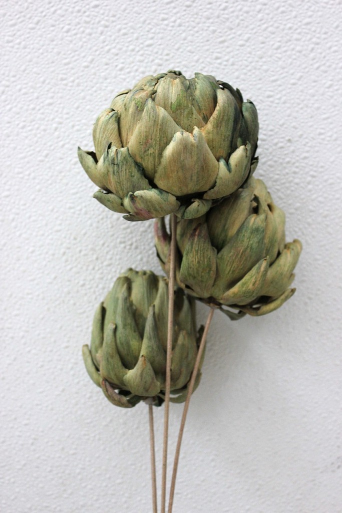Dried Artichokes