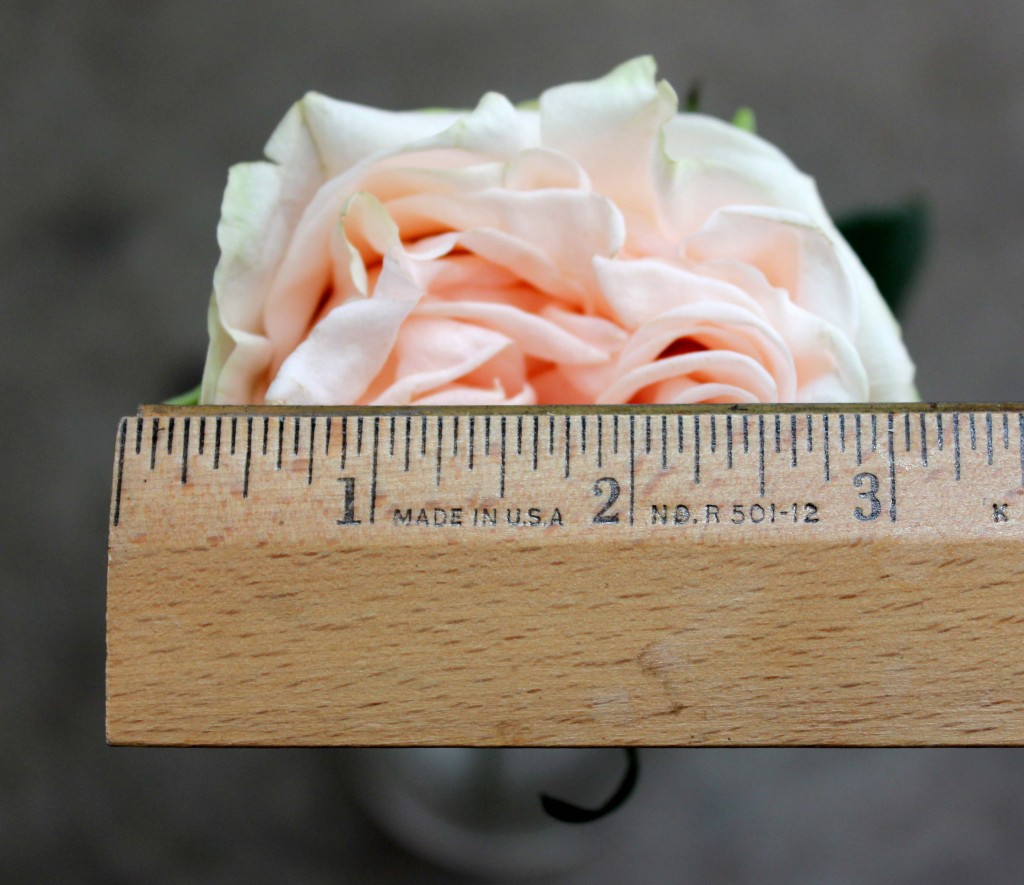 Garden Spirit - Measured - Photo Credit Allison Linder