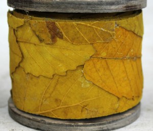 Natural Wrap Leaves