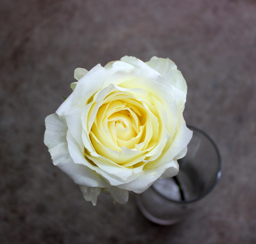 White Chocolate - Aerial View- Photo Credit Allison Linder