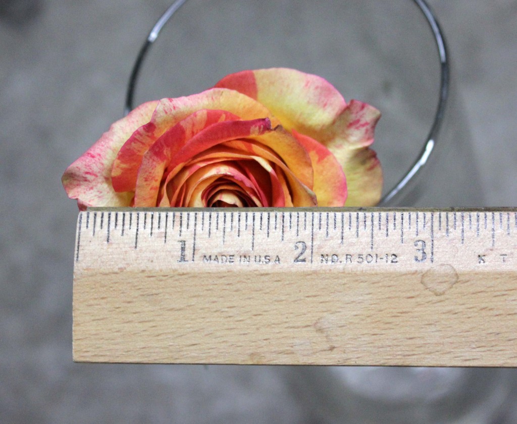Butterfly - Measured - Photo Credit Allison Linder