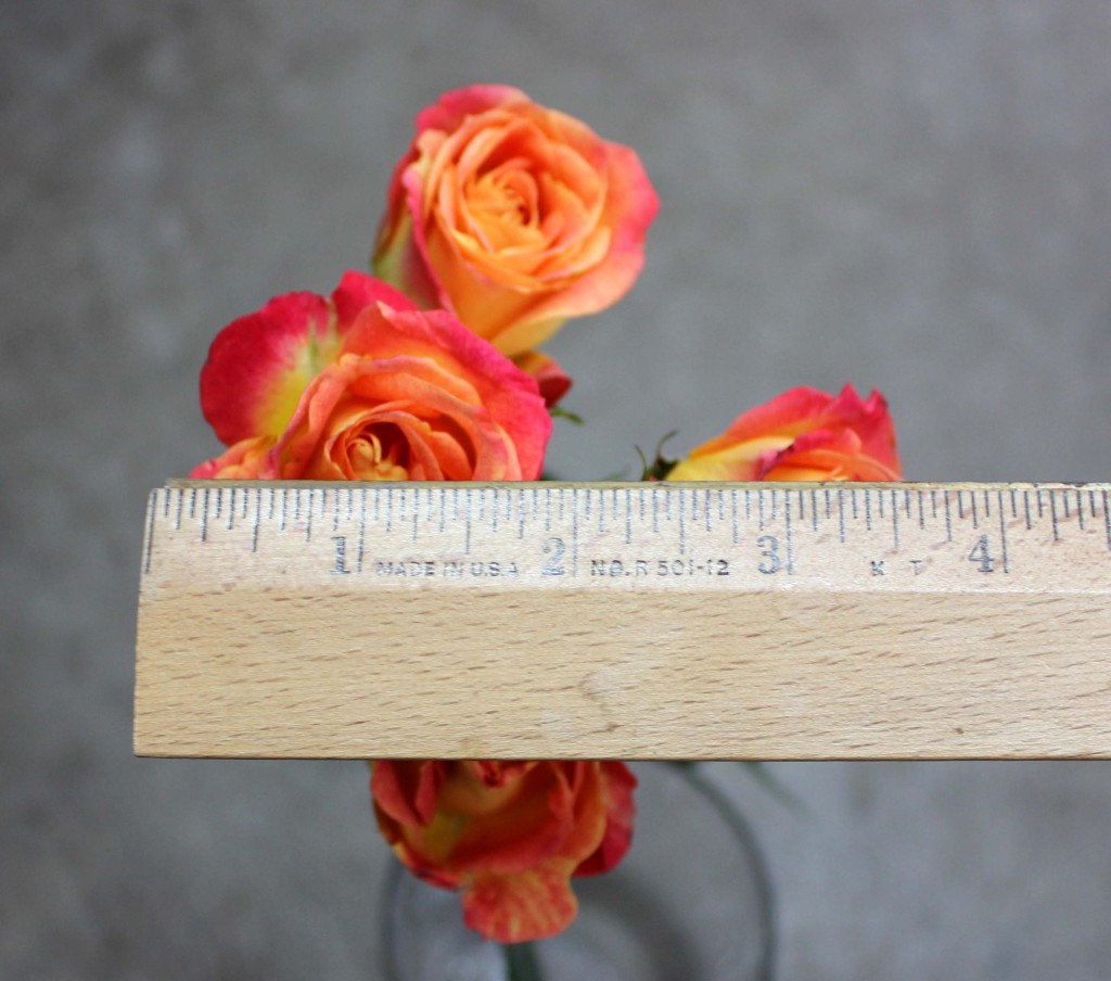 Fiesta Bubbles - Measured - Photo Credit Allison Linder