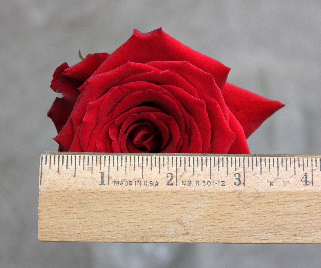Finally - Measured - Photo Credit Allison Linder