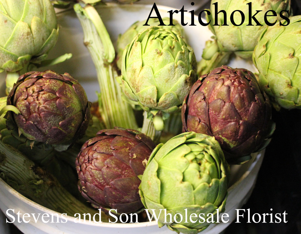Artichokes - Photo Credit Allison Linder