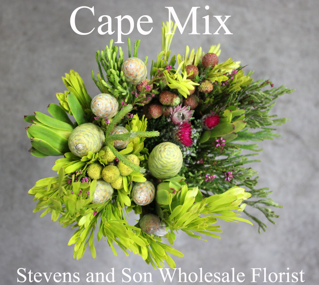 Fresh Flowers Stevens and Son Wholesale Florist