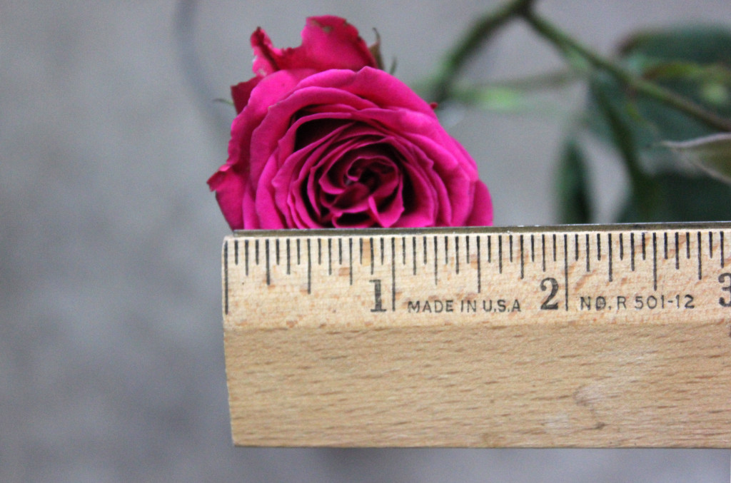 Lovely Lydia - Measured - Photo credit Allison Linder