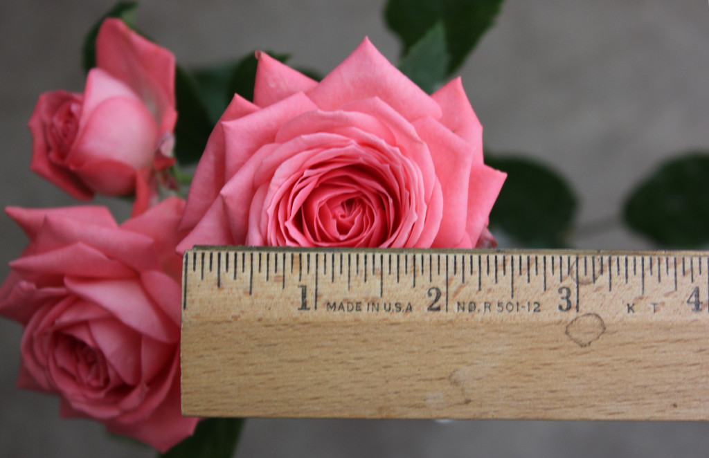 Barbados Stevens and Son Wholesale Florist