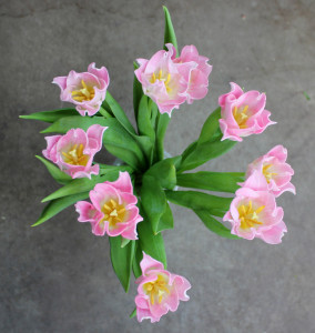 Lily Flower Tulip - Aerial - Photo Credit Allison Linder