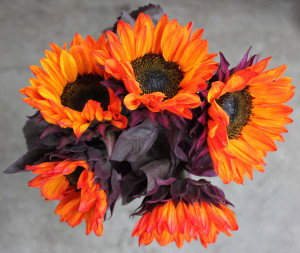 Sunflowers - Red Tint - Photo Credit Allison Linder