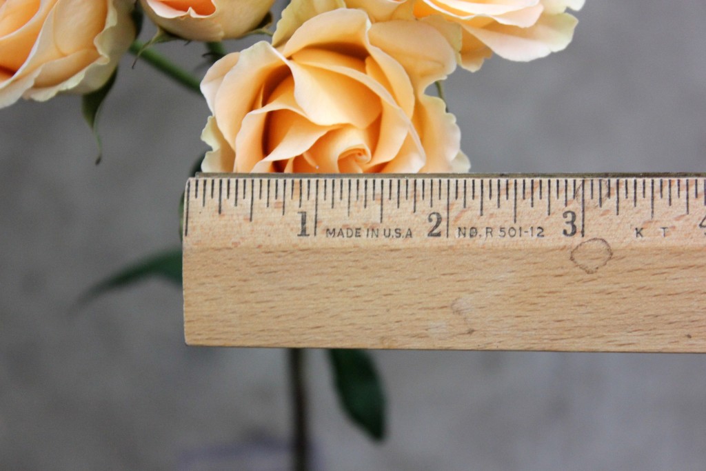 Girlie Follies - Measured - Photo Credit Allison Linder