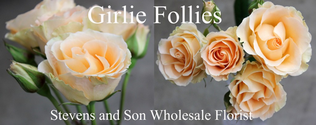 Girlie Follies - Photo Credit Allison Linder