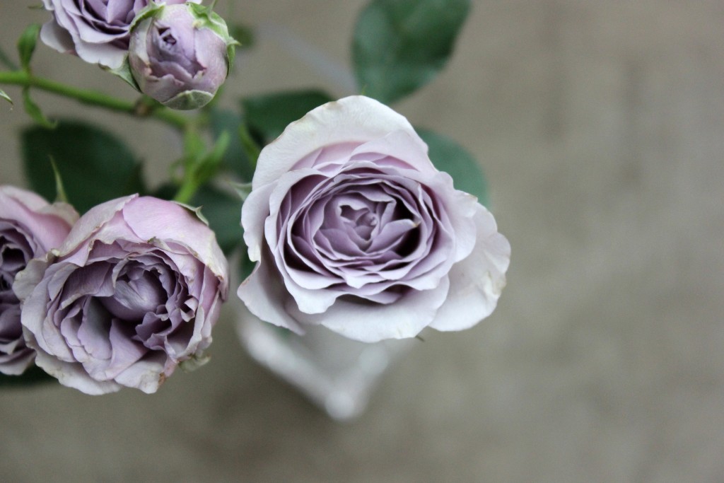 Silver Mikado Stevens and Son Wholesale Florist