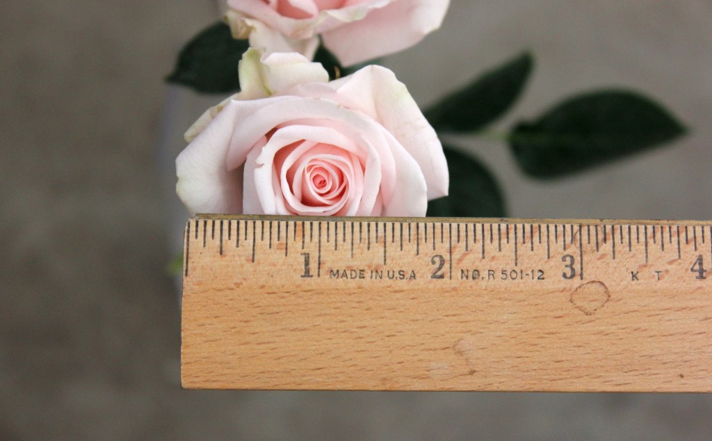 Porcelina Pink - Measured - Photo Credit Allison Linder