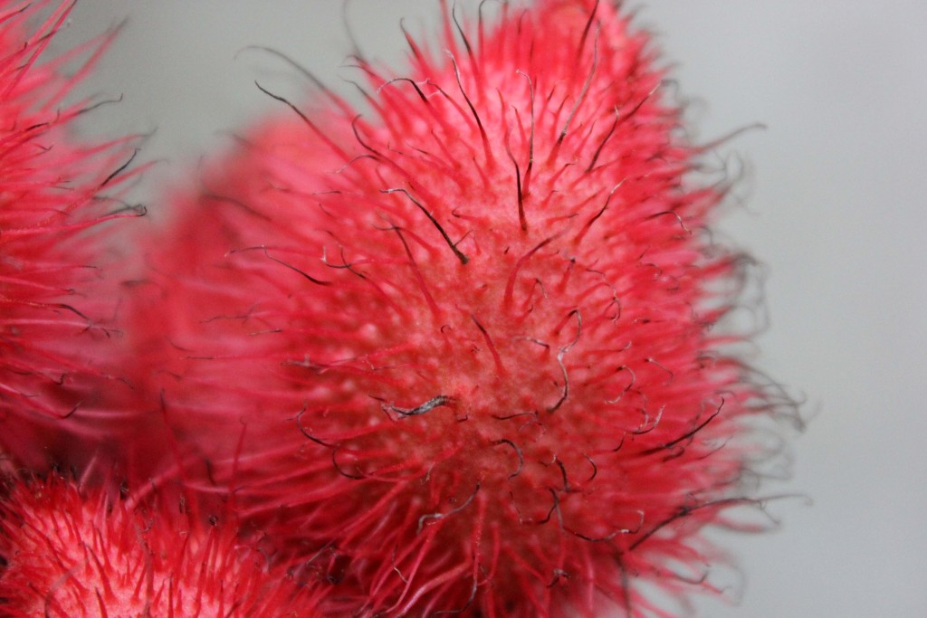 Lipstick Pods - Detail 2 -Photo Credit Allison Linder