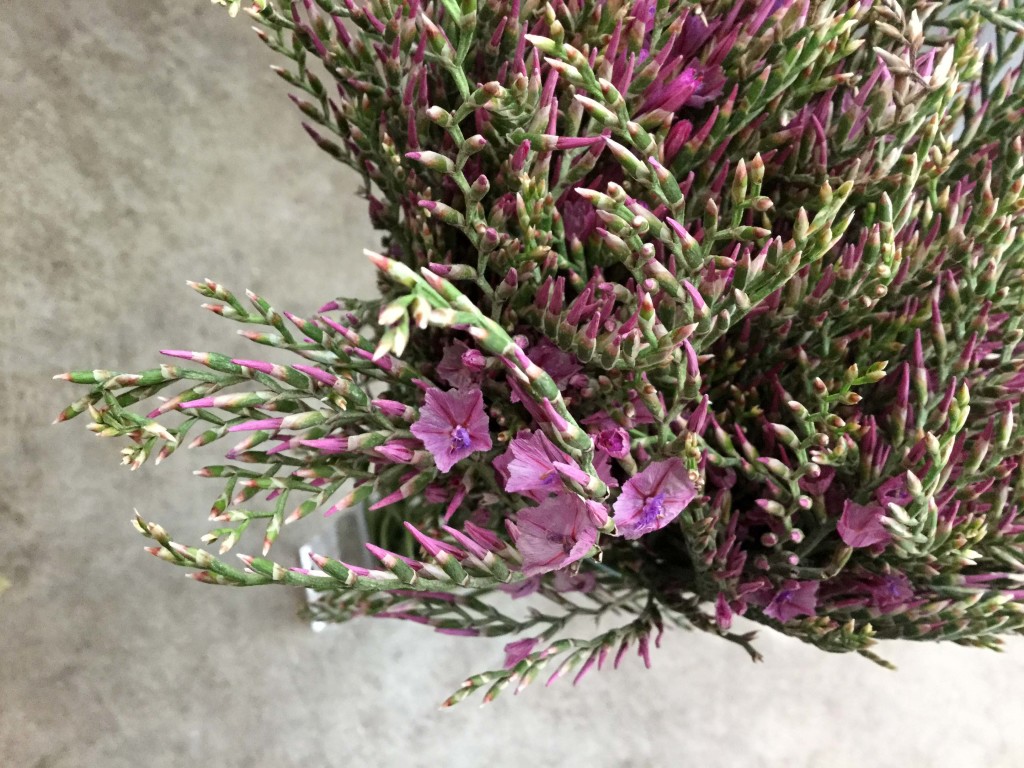 Chorus Magenta - Detail - Photo Credit Allison Linder