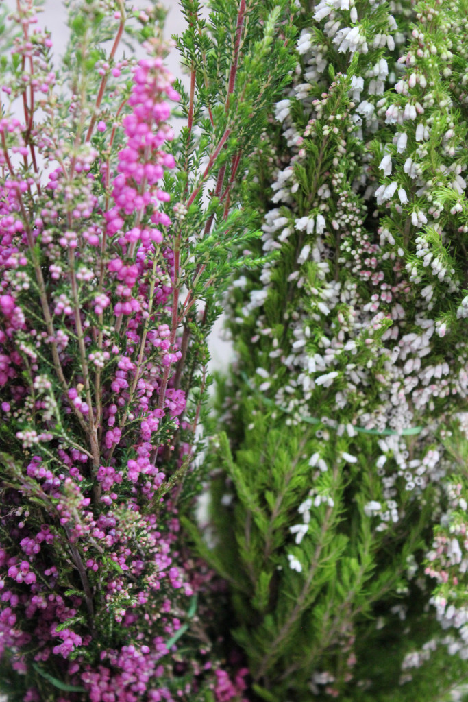 Heather - Detail - Photo Credit Allison Linder
