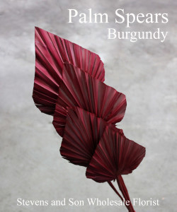 Palm Spears - Burgundy - Photo credit Allison Linder