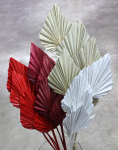 Palm Spears - Group - Photo Credit Allison Linder