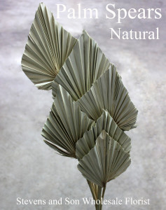 Palm Spears - Natural - Photo Credit Allison Linder