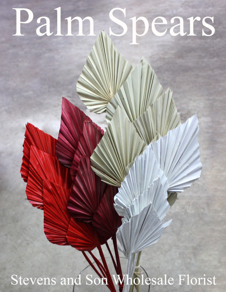 Palm Spears - Photo Credit Allison Linder