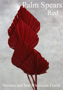 Palm Spears - Red - Photo Credit Allison Linder