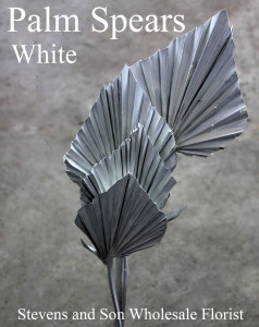 Palm Spears - White - Photo Credit Allison Linder