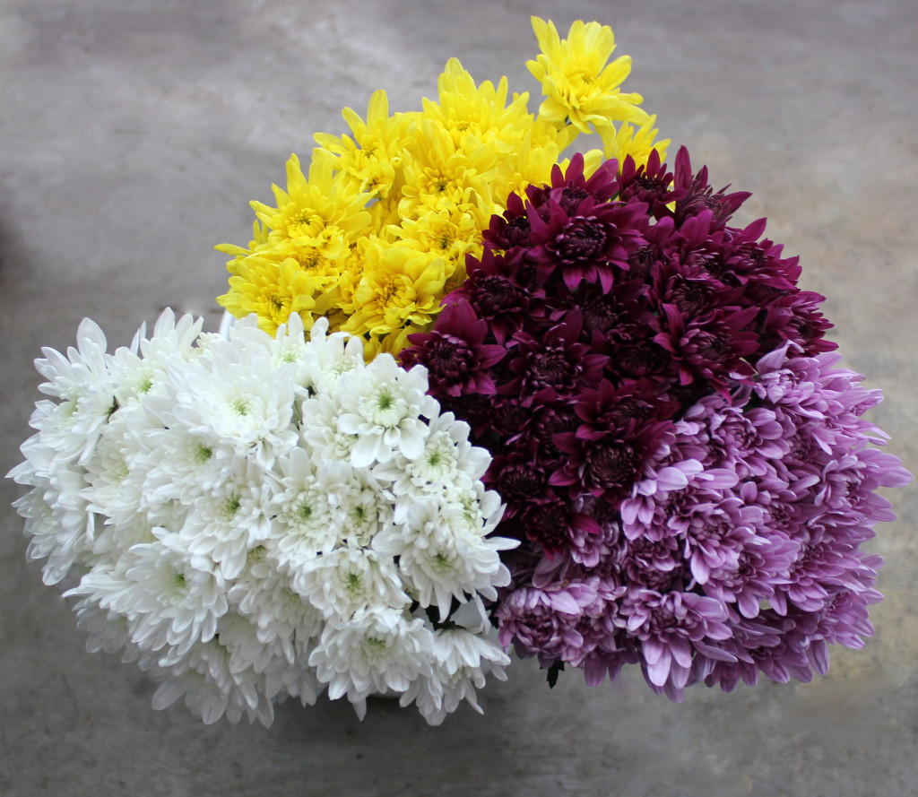 Pompons Cushion - Aerial - Photo Credit Allison Linder