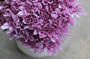 Pompons Cushion - Lavender - Photo credit Allison Linder