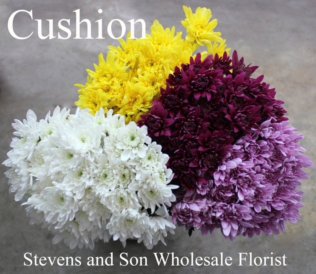Pompons Cushion - Photo Credit Allison Linder