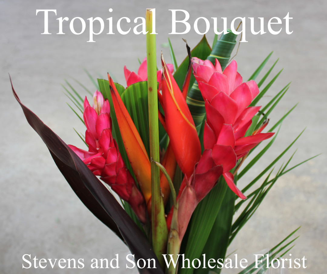 Tropical Flowers Stevens and Son Wholesale Florist