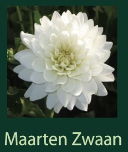 Maarten Zwaan