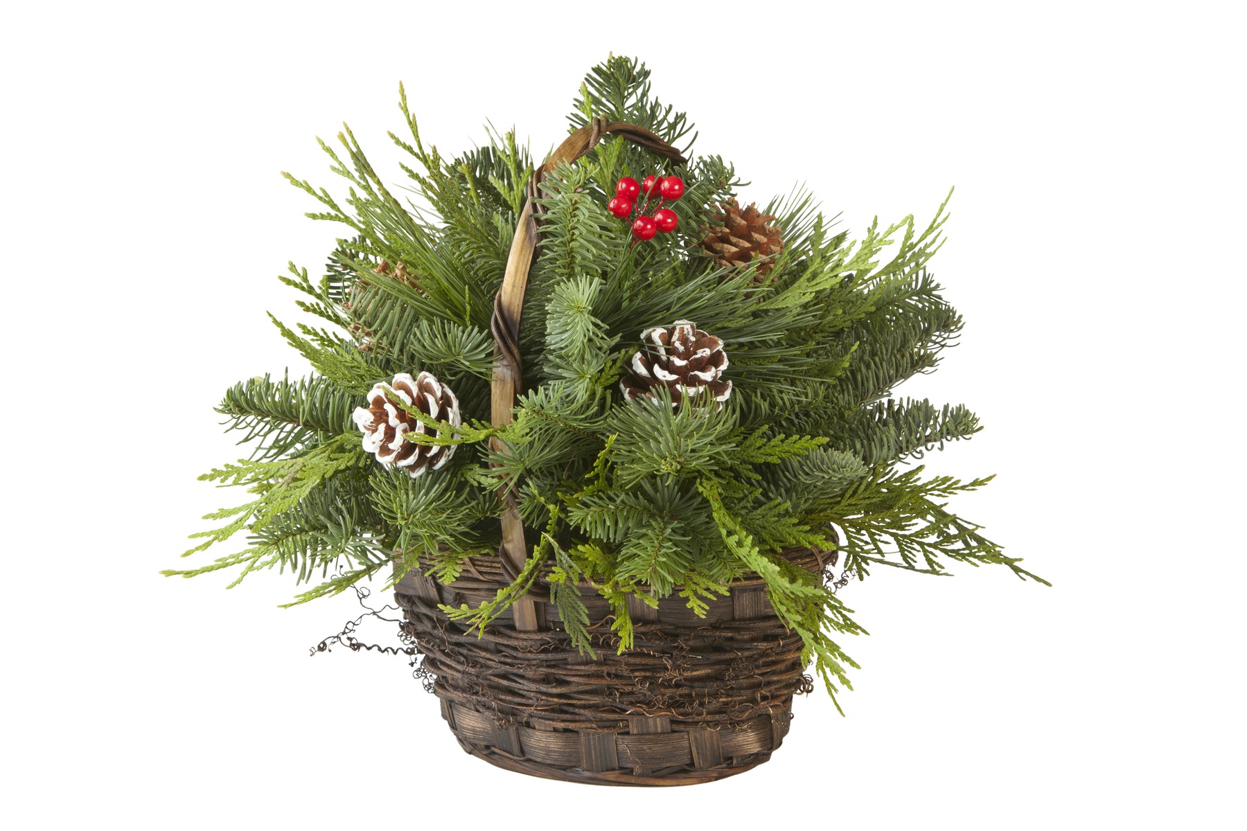 Holiday Greens Stevens and Son Wholesale Florist