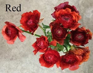 Ranunculus - Red- Photo Credit Allison Linder